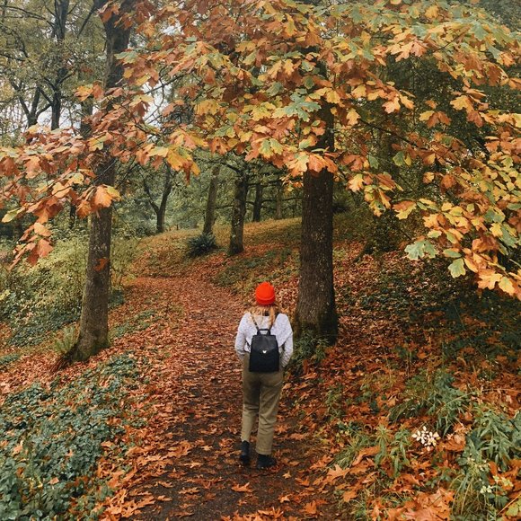 Hi Hi Hi! - Picture 4 of 14